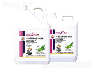 24-���|̦�؃�����S-�T����-����-�����