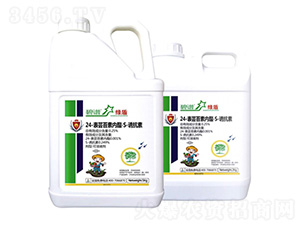 24-���|̦�؃�����S-�T����-�G��-������r