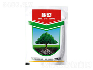 20g���˸�ʢ-������r