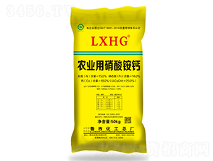 ��ꖌ�ϵ���r�I�������@�}-��������