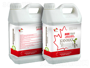 ����˹���׶�-��������