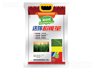 ��ȃ��ͼ޳�����-�|������