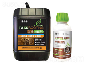 �������焩-���_����