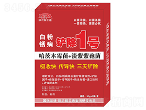 �׷��P���P��1̖-�r���S��