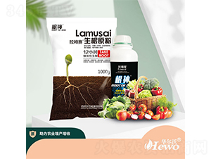 ����ԭ��-����ِ-�A����