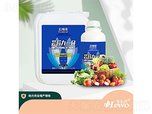 �|̦920-����ِ-�A����