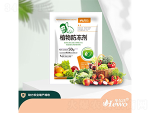 ֲ�������-�A����