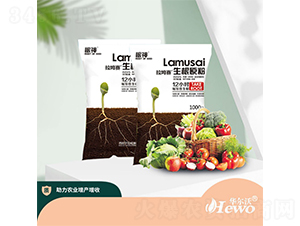 ����ԭ��-�A����