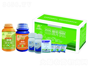 �翵΢-�W�r����