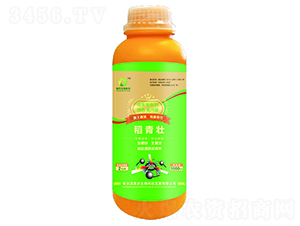 ������-�W�r����