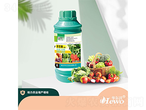 �|̦�؃���-�A����