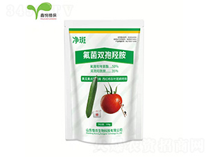 �����p���u��-����-�ΐ��r�I