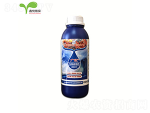 ��������Ǵ��}-�V��-�ΐ��r�I