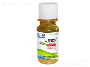 ̫ꖻ����L(zh��ng)�{(di��o)��(ji��)��-�����r(n��ng)�I(y��)