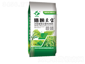 �ЙC(j��)���������{(di��o)��(ji��)��-��������-�����r(n��ng)�I(y��)