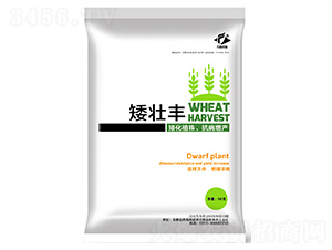 ���L(zh��ng)�{(di��o)��(ji��)��-�����S-�����r(n��ng)�I(y��)