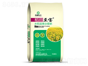 �ЙC���������{����-��������-�����r�I