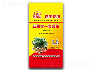 ����������Ч��һ�ײͷ�-�W���D