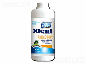 ����������-�������� 