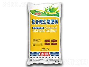 �����{����-���