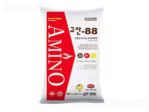 �����{�턩-�ۿ�����