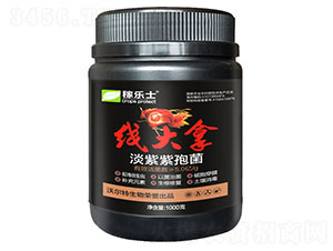 線大拿（淡紫紫孢菌）-稼樂土-沃爾特