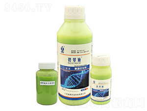 ���߃�(y��u)����-�̴�ʩ-���(gu��)�r(n��ng)�I(y��)