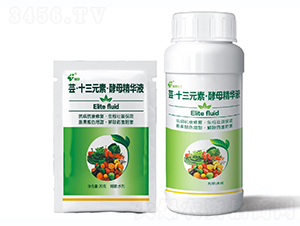 �|ʮ��Ԫ�ؽ�ĸ���AҺ-������