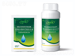 ֲ���Ŷ���ˎ��������-������