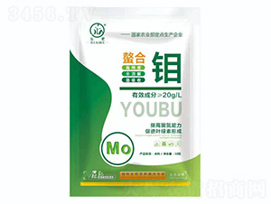 �����f-�˰�����