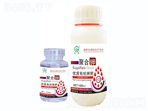 �ۺ��-�˰�����