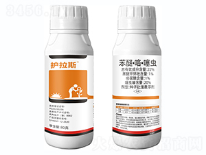 22%���ѡ��������xС���N��-�o��˹-�Ƶ��r�I