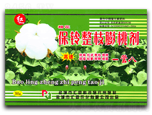 �����֦���҄�-�R���r��