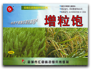 �����-�R���r��