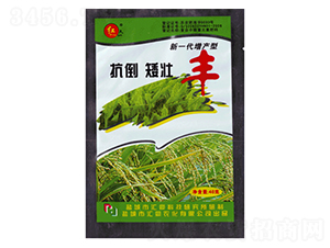 ���������S������-�R���r��