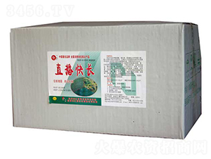 ֱ�����L-�R���r��