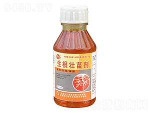 �������焩-�R���r��