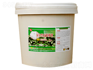 �����֦���҄���Ͱ��-�R���r��