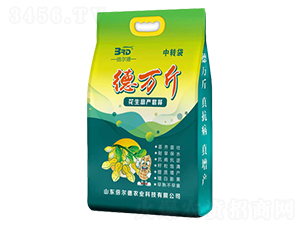 ���f�ﻨ���߮a�ײ�-������