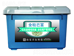 �����������a�ײ�-ȫ���Ѹ�-�d���r�I