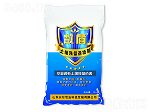 �n����������͸����-�d���r�I