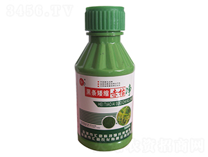 �ڗl���s��݃�-�R���r��