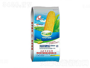 ��ጷ���-��