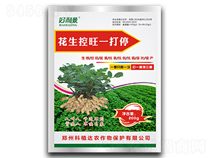 ��������һ��ͣ-������-��ֲ�_