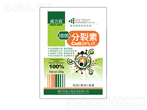 200g����������-����ʩ 