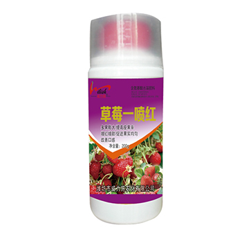 ��ݮһ���t-����ʩ