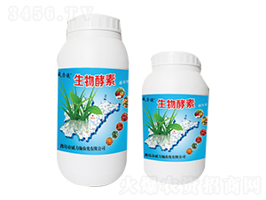 �������ƿ�b-����ʩ