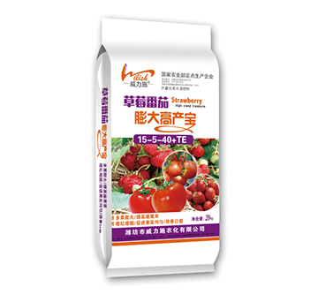 ��ݮ�������߮a��-����ʩ