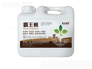 ������-��ɽ̩�S