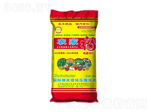 �r�Ҹ�-��ɽ̩�S